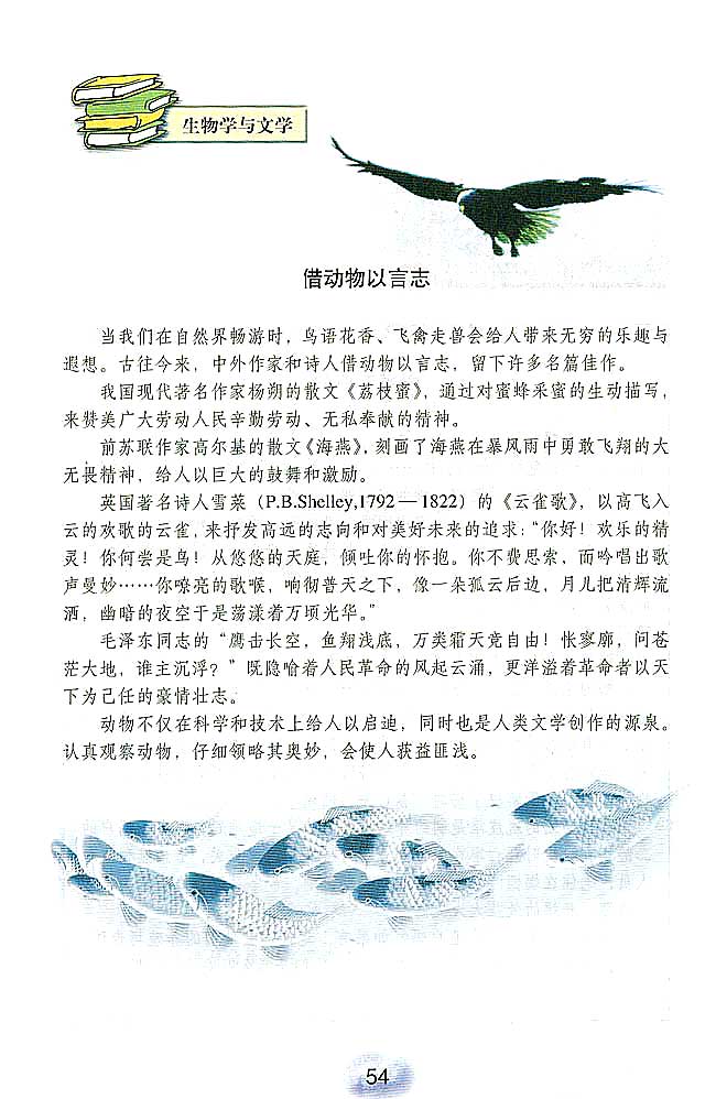 第1张